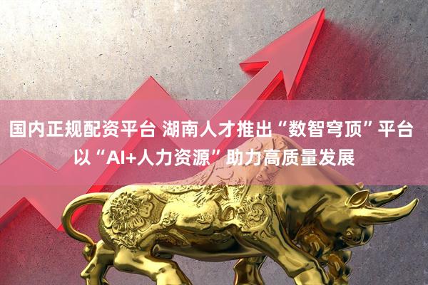 国内正规配资平台 湖南人才推出“数智穹顶”平台 以“AI+人力资源”助力高质量发展