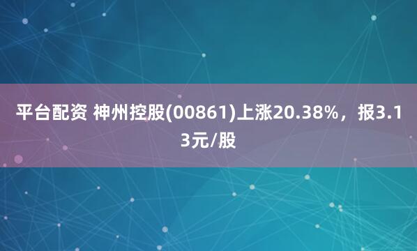 平台配资 神州控股(00861)上涨20.38%，报3.13元/股