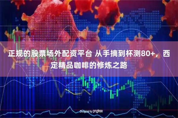 正规的股票场外配资平台 从手摘到杯测80+，西定精品咖啡的修炼之路